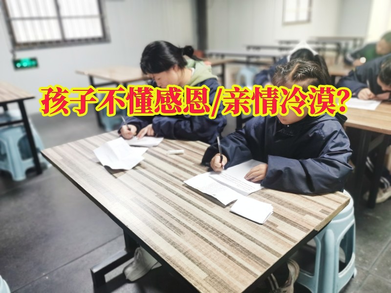 感恩教育學校,冷漠孩子教育學校