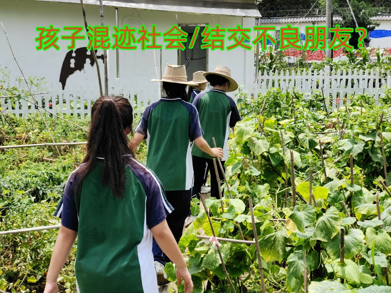 湖南正規叛逆學校,問題青少年教育學校