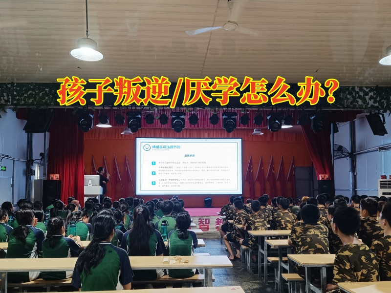 叛逆孩子學校,軍事訓練學校