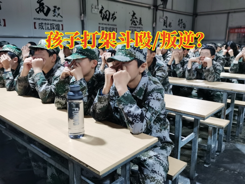 青少年管教中心對孩子打架斗毆的建議，青少年管教中心