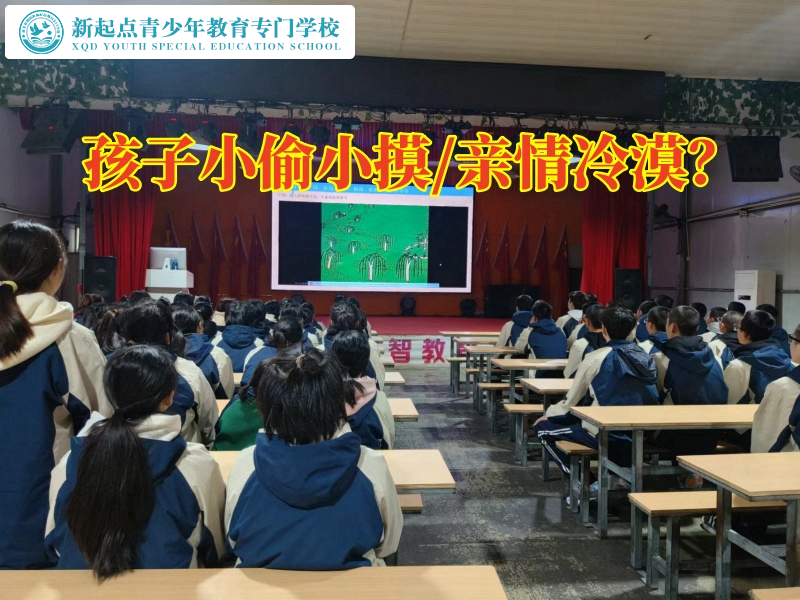 改造叛逆少年學校分析孩子愛偷錢的危害