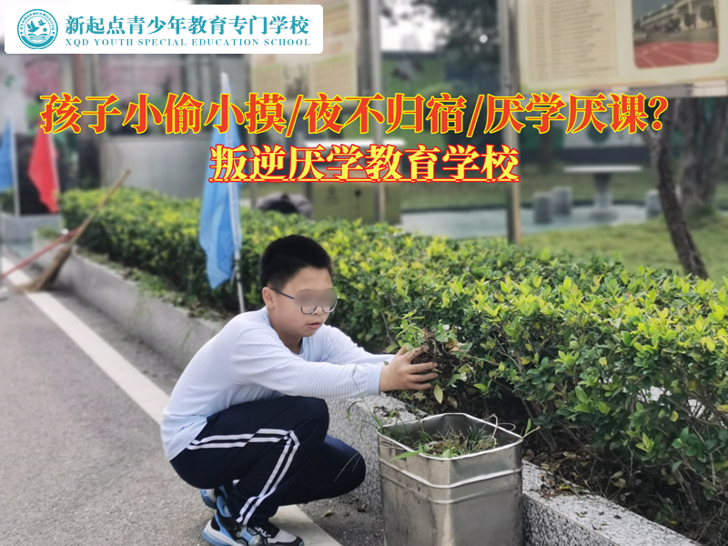 叛逆厭學教育學校改變青少年小偷小摸