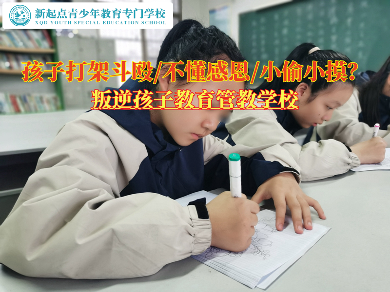 叛逆孩子教育管教學校改變總打架的青少年