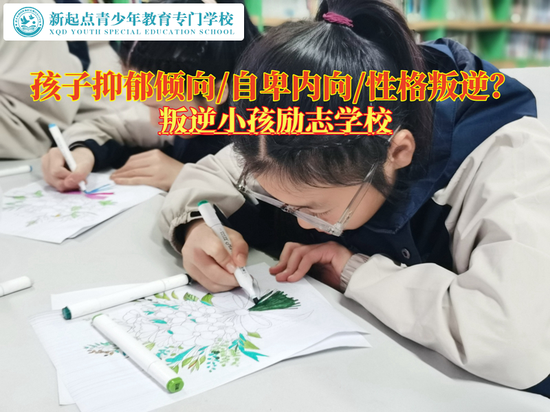 叛逆小孩勵志學校改變青少年的抑郁狀態