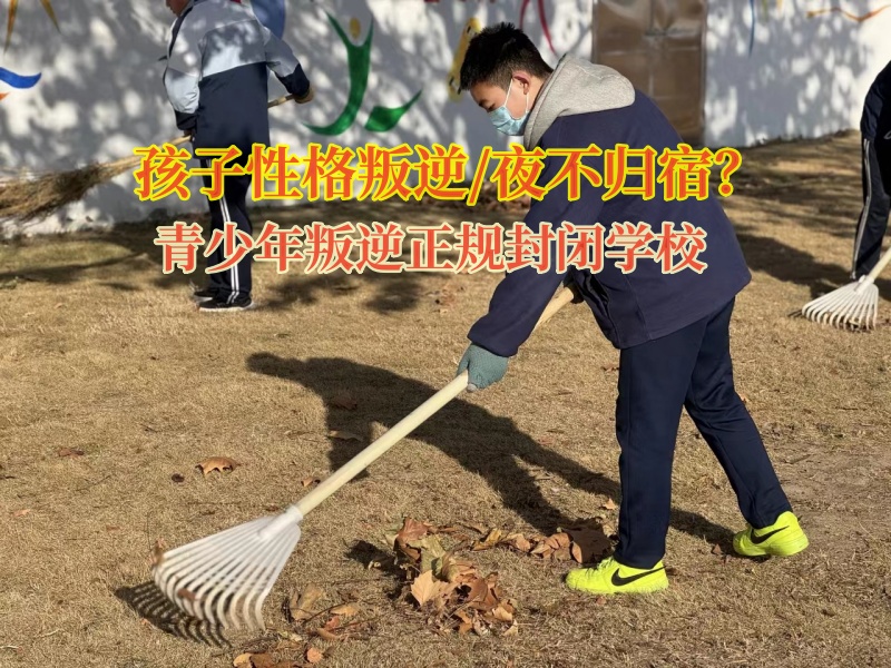 青少年叛逆正規封閉學校對孩子夜不歸宿的建議