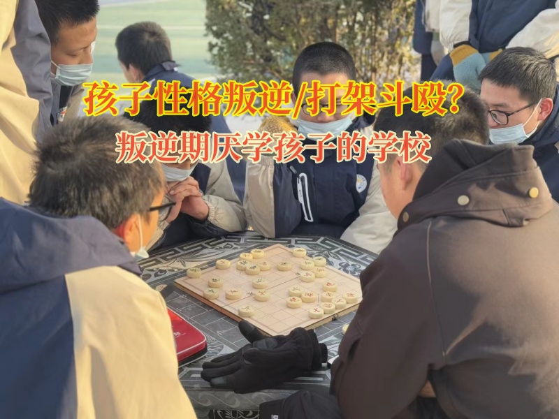 叛逆期厭學孩子的學校解決青少年總打架問題