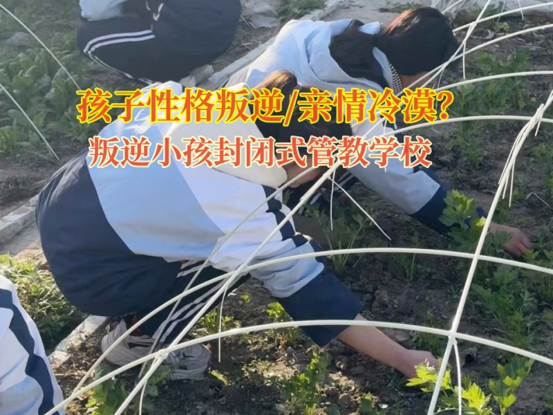 全封閉式管教學校改變混社會的青少年